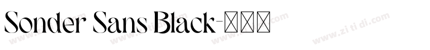 Sonder Sans Black字体转换 Sonder Sans Black字体转换